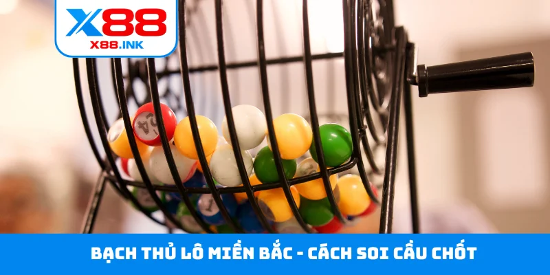 Bạch thủ lô miền Bắc