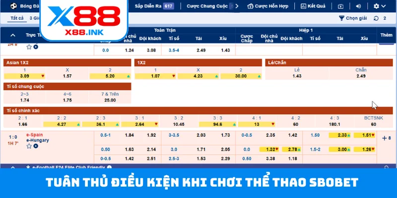 Tuân thủ điều kiện khi chơi thể thao Sbobet